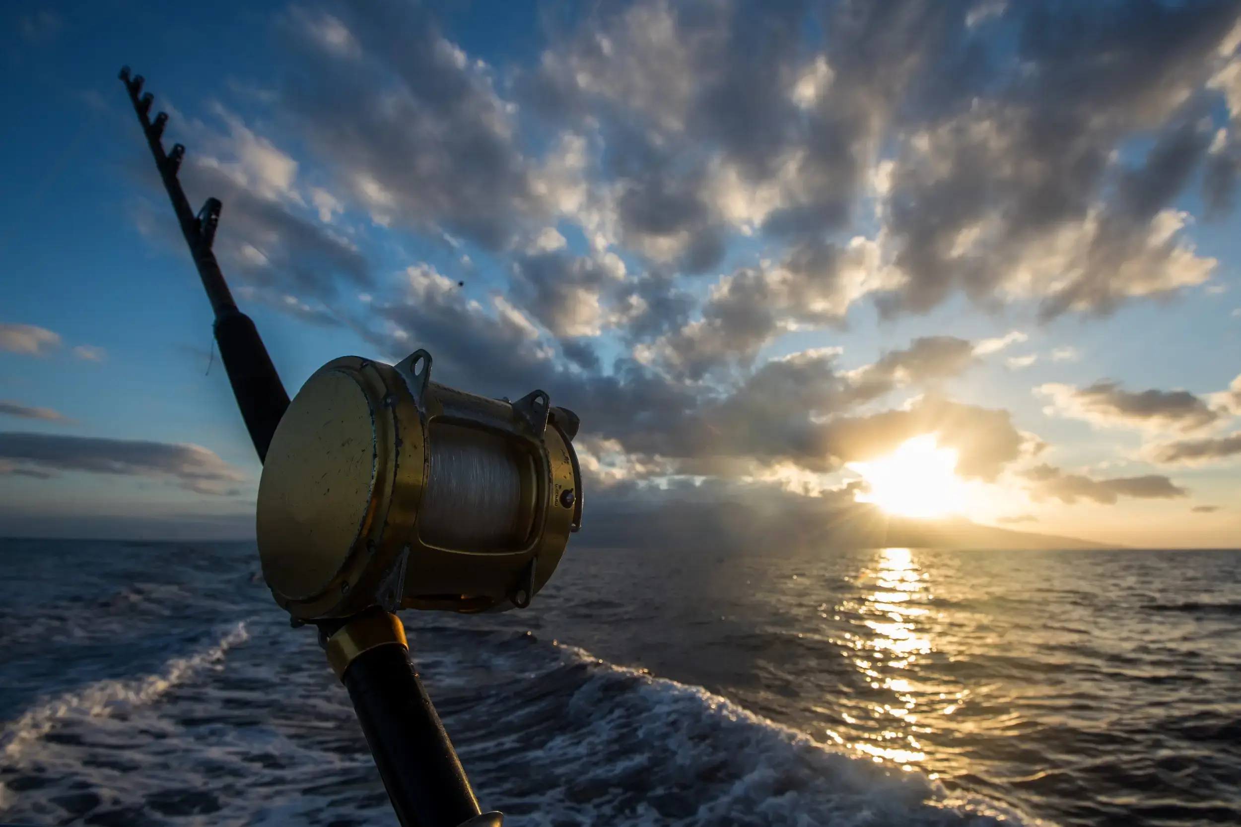 The Best Deep-Sea Bait and Lures for a Successful Charter Trip